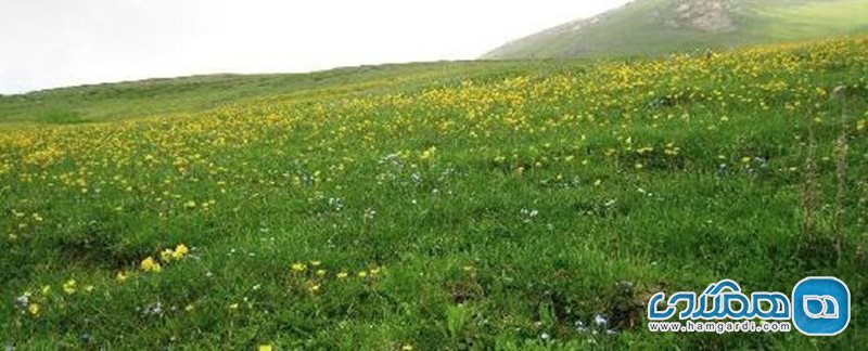 روستای انگاس