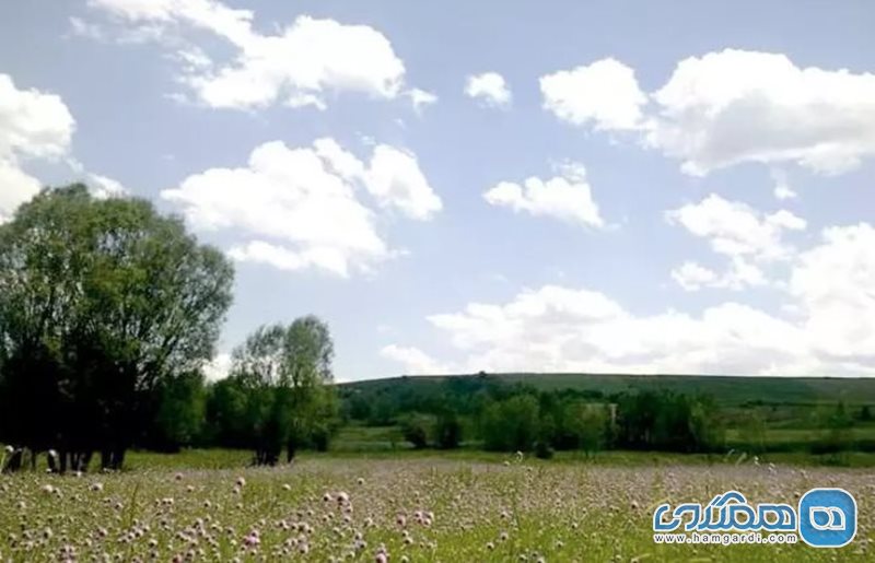 دره جنگلی ایردموسی