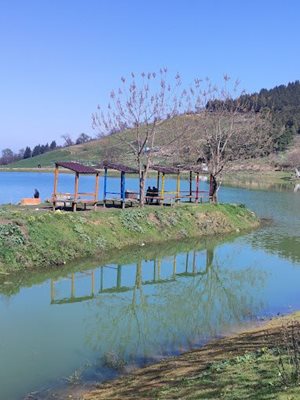 گرگان-دریاچه-توشن-462062