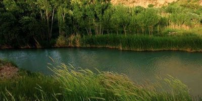 نهاوند-منطقه-حفاظت-شده-ملوسان-462389