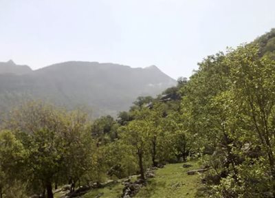 گچساران-دوگنبدان-منطقه-حفاظت-شده-کوه-خامین-462403