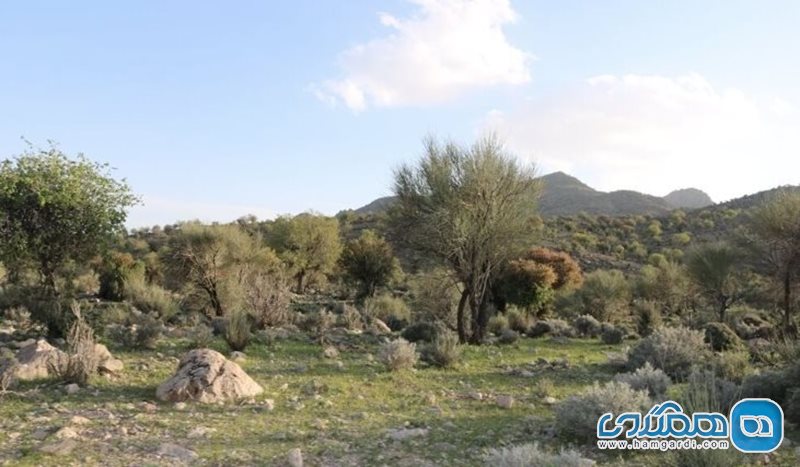 منطقه حفاظت شده کوه خامین