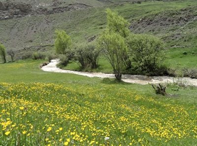 نور-روستای-یوش-462519
