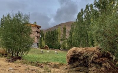 نور-روستای-یوش-462521