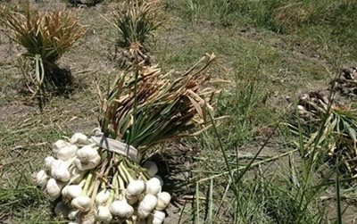 روستای قراغیل