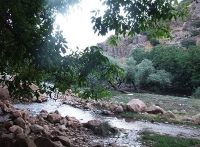 الشتر-دره-کهمان-464104