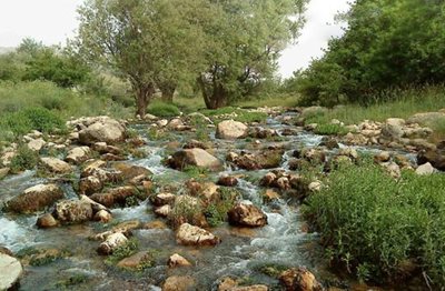 یاسوج-دره-المون-464161