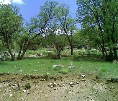 یاسوج-دره-المون-464159