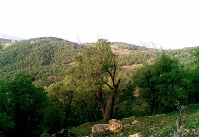 یاسوج-دره-المون-464160