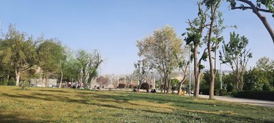 شیراز-پارک-جنگلی-انقلاب-زرقان-464121