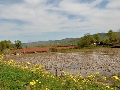 ساری-روستای-ارزفون-464277