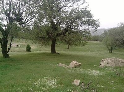 ایلام-گورستان-کان-گنبد-464298