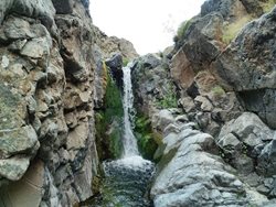 آبشار طامه