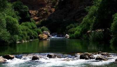 سپیدان-روستای-بهشت-مکان-464359