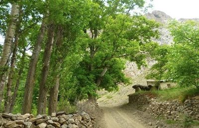 مهدی-شهر-روستای-ملاده-464525