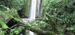 آبشار آلاشور (آبشار نجارده)