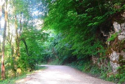 نوشهر-روستای-نجارده-464532