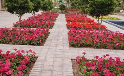 تهران-باغ-وثوق-الدوله-464637