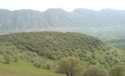 گیلانغرب-روستای-قمرالی-چله-464771