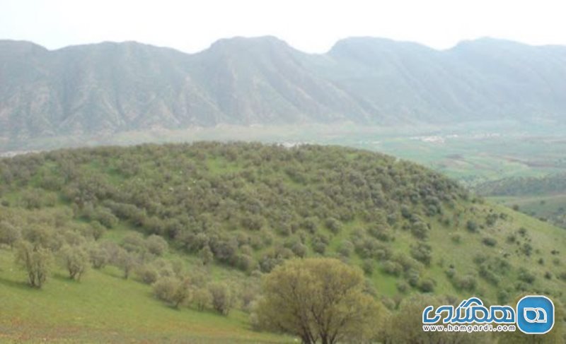 روستای قمرالی چله