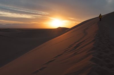 بافق-کویر-کاراکال-464868