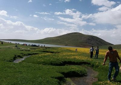 سراب-روستای-اردها-464942