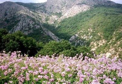 آشخانه-روستای-درکش-465416