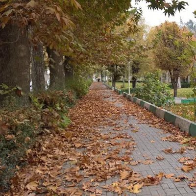 ایلام-پارک-ملت-465641
