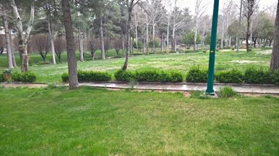 ایلام-پارک-ملت-465638