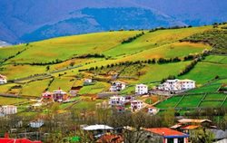 روستای کردیچال