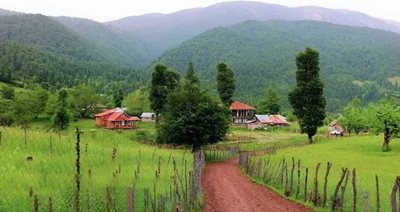 کلاردشت-روستای-کردیچال-465791