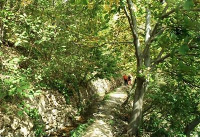 لواسان-روستای-برگ-جهان-465828