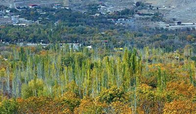 مهریز-روستای-منشاد-465860