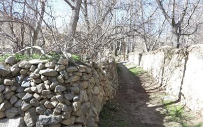 مهریز-روستای-منشاد-465862