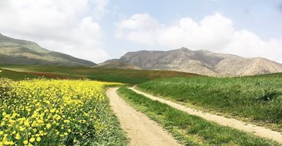 ساری-روستای-میرافضل-واوسر-465878