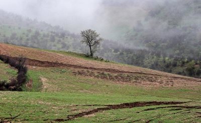 مراوه-تپه-روستای-آق-امام-466175