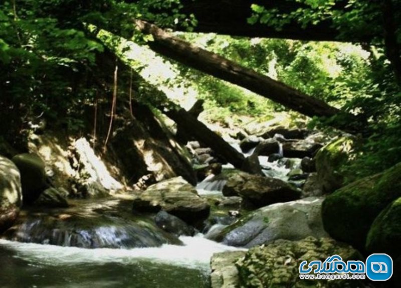 جویبار خلخال سویی