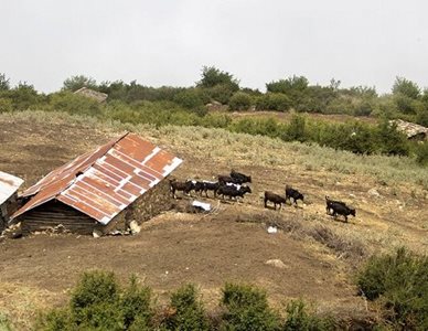 بابلسر-روستای-شورک-469902