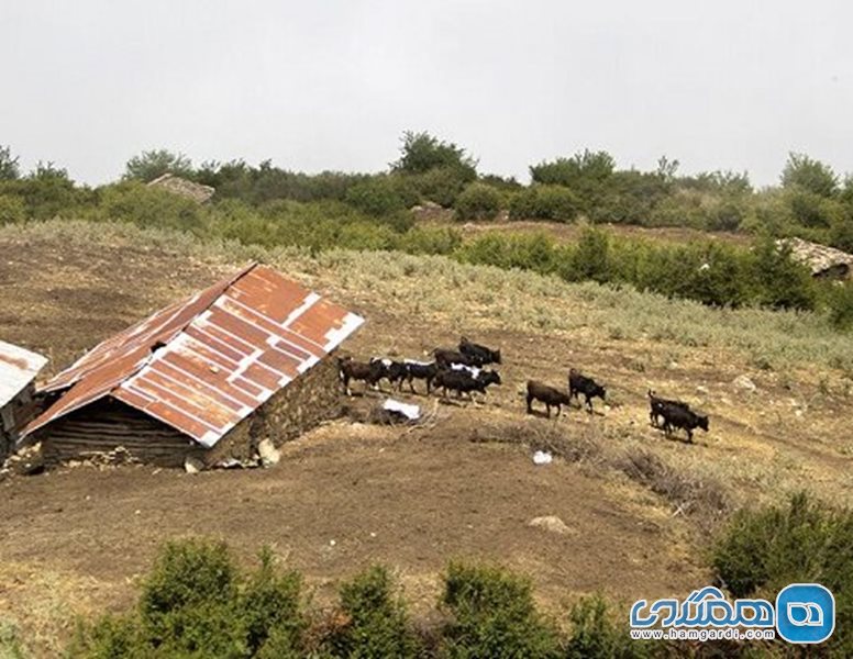 روستای شورک