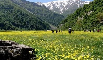 محمودآباد-روستای-دریاسر-469925