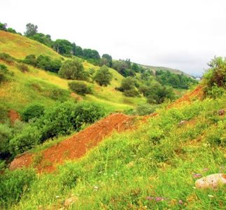 دیلمان-روستای-اسپیلی-470021