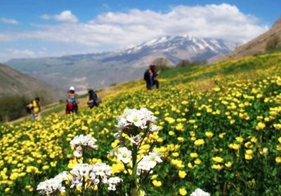 آمل-روستای-پلور-470686