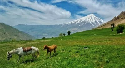 آمل-روستای-پلور-470688