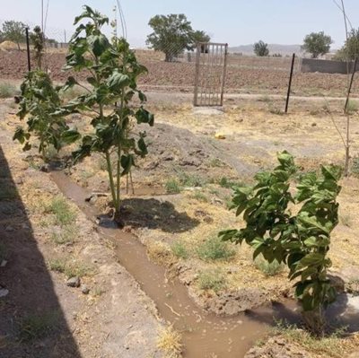 سلفچگان-روستای-تاج-خاتون-470710