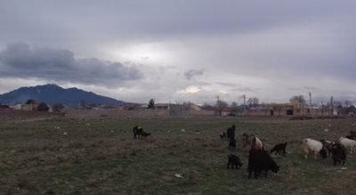 سلفچگان-روستای-تاج-خاتون-470708