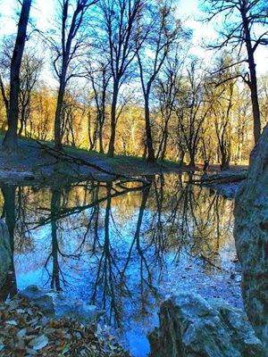 مینودشت-چشمه-لال-470768