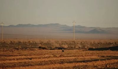 منطقه حفاظت  شده کالمند بهادران