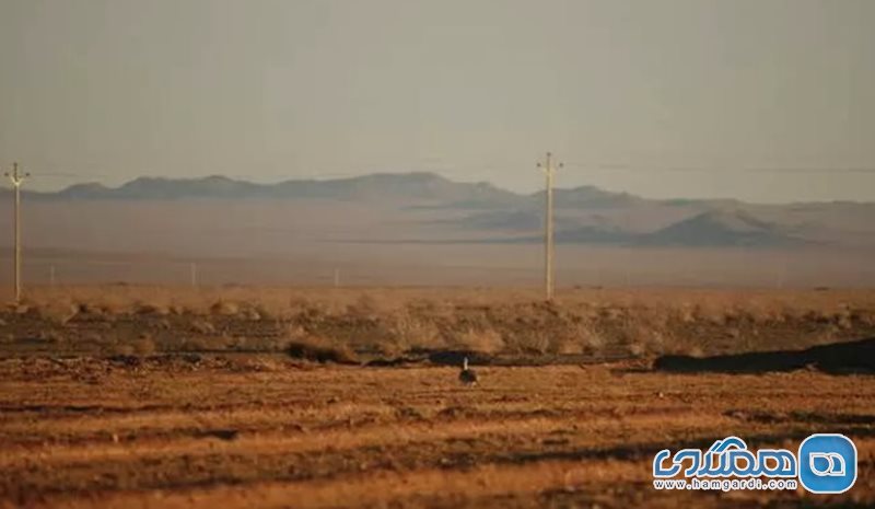 منطقه حفاظت  شده کالمند بهادران