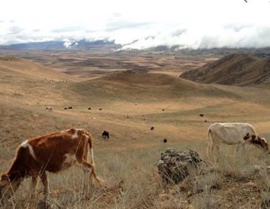 گرمی-روستای-برزند-471885