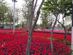 بوستان خواجوی کرمانی